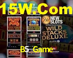 Daily Bonuses B5 Game
